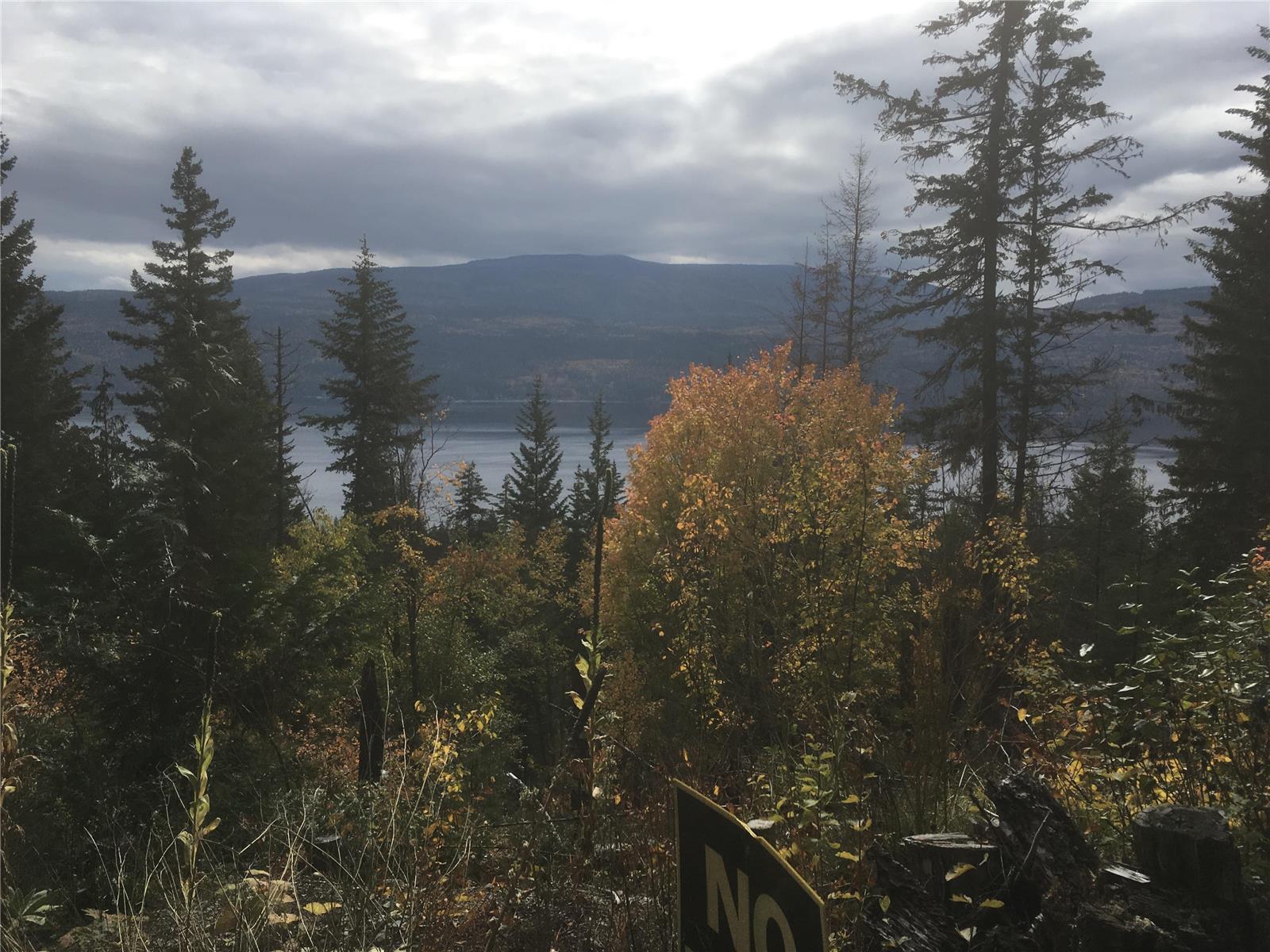 Lot B Columbia Drive, - North Shuswap, Anglemont 