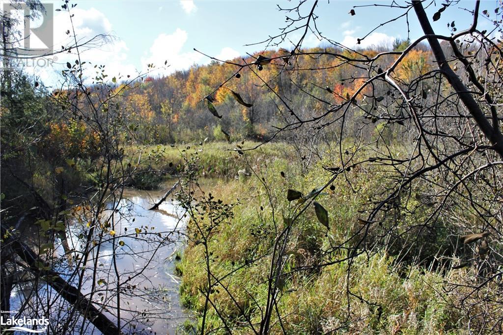 East Plt 2 Concession 3 Concession, Meaford (Municipality), Ontario  N4L 1W7 - Photo 14 - 40246200