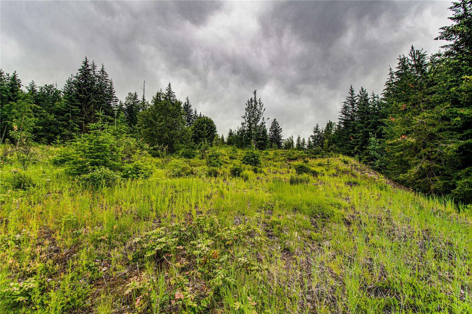 Lot 2 Cedar Drive, Blind Bay, British Columbia  V0E 2W2 - Photo 10 - 10256384