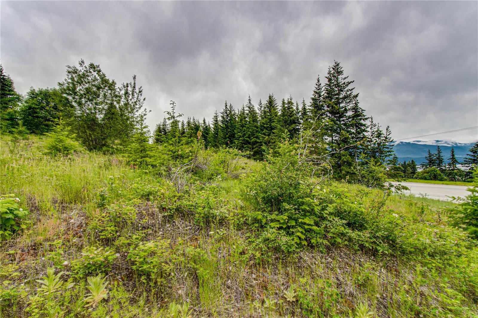 Lot 2 Cedar Drive 