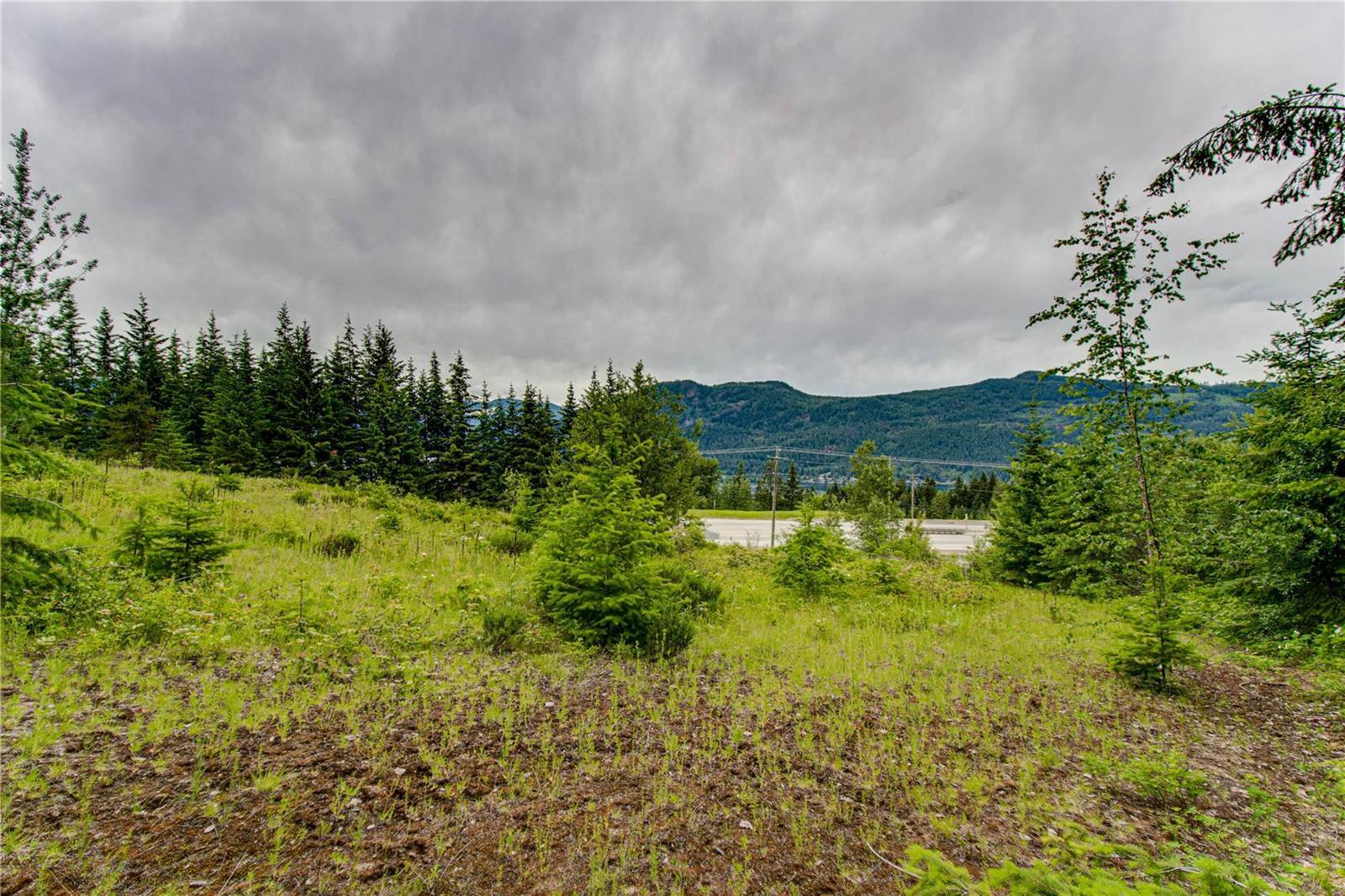 Lot 2 Cedar Drive 