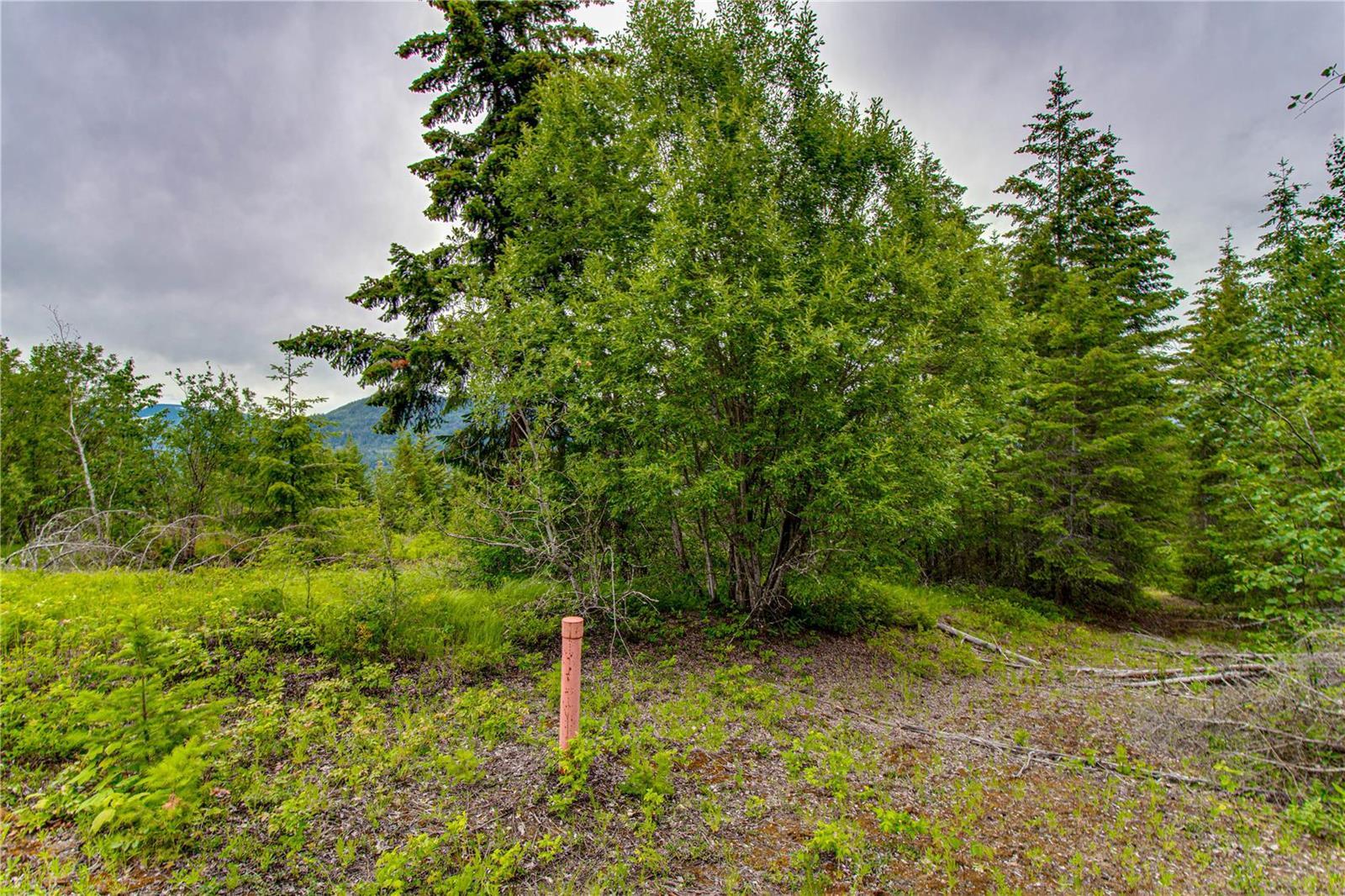 Lot 2 Cedar Drive 