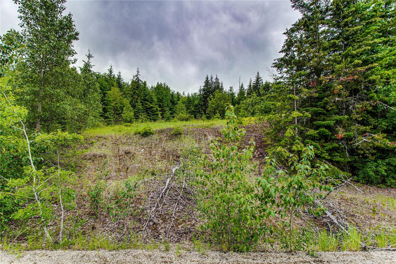 Lot 2 Cedar Drive 