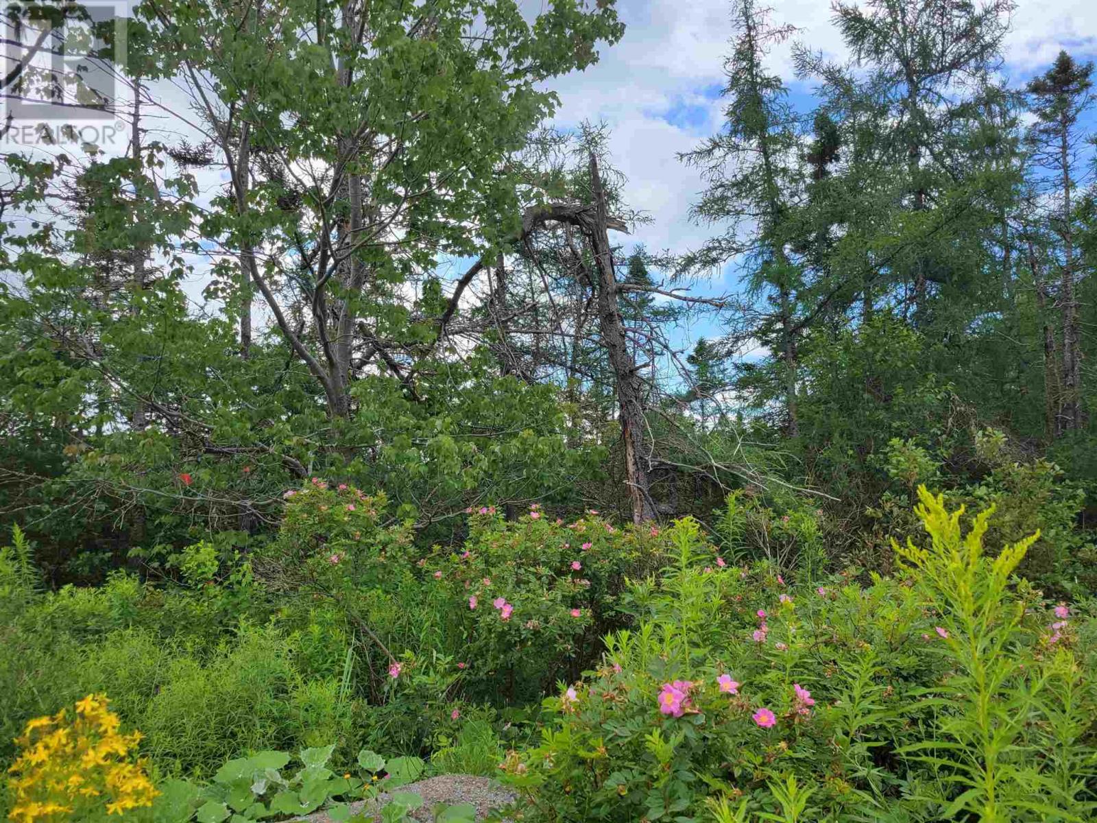 Lot 5 Harbourview Crescent, Louisdale, Nova Scotia  B0E 1V0 - Photo 4 - 202119207