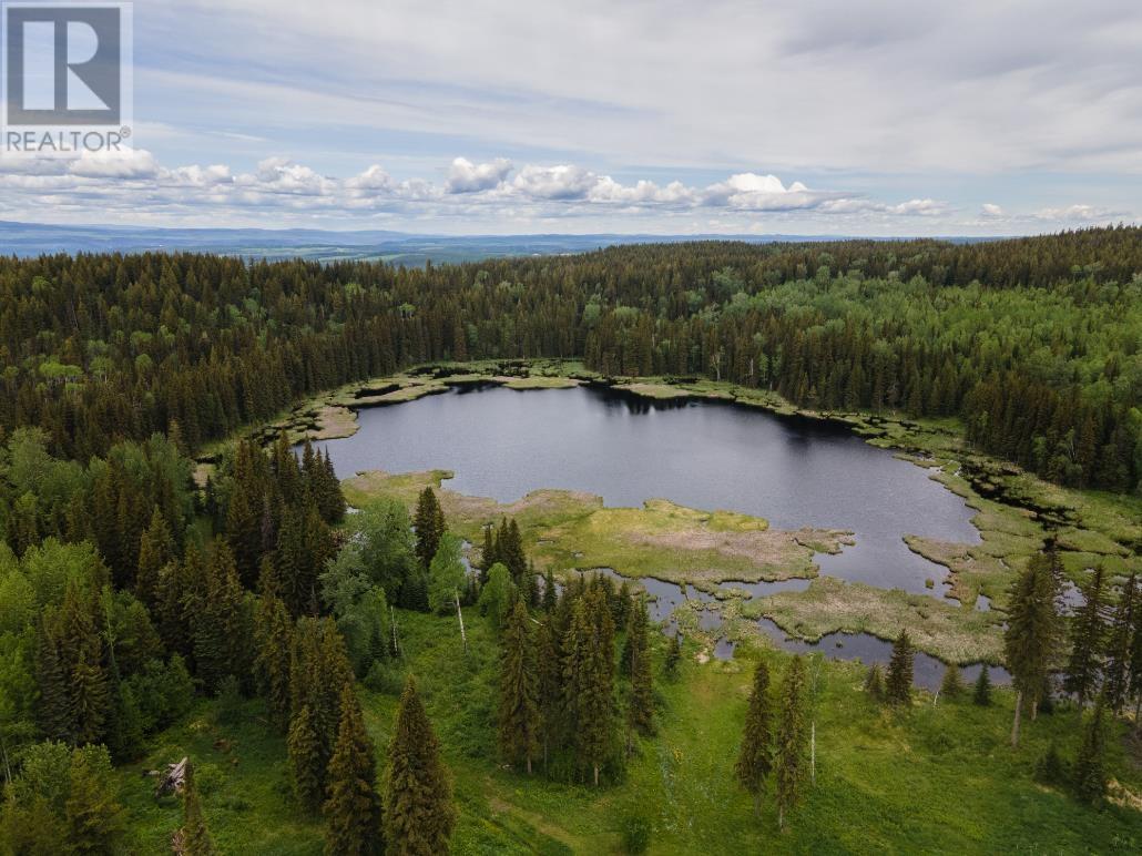 1987 Barkerville Highway, Quesnel, British Columbia  V2J 6T5 - Photo 13 - R2703313