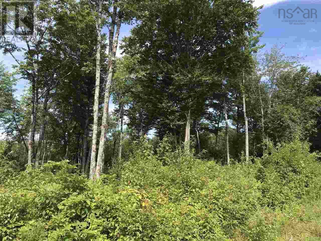 Station Road, Great Village, Nova Scotia  B0M 1L0 - Photo 11 - 202016431