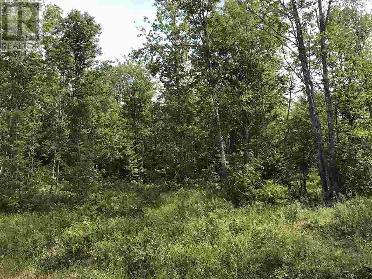 Station Road, Great Village, Nova Scotia  B0M 1L0 - Photo 13 - 202016431