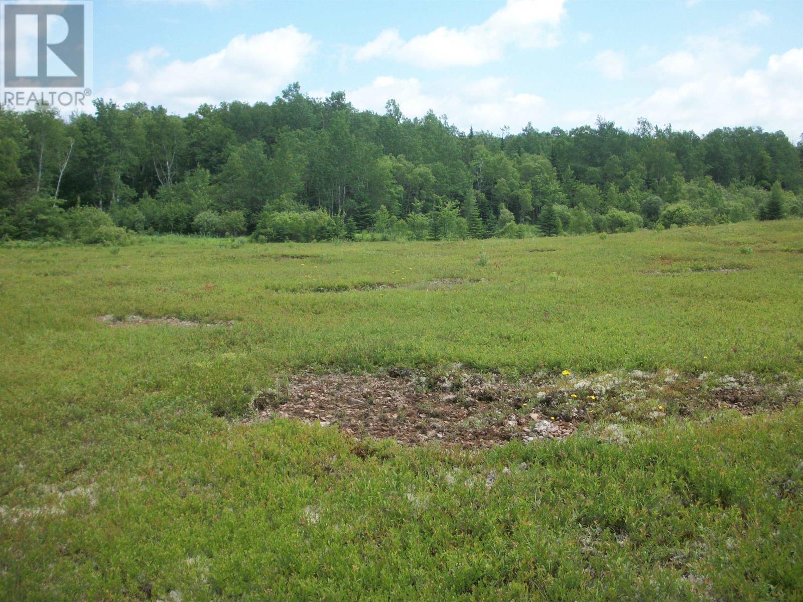 Station Road, Great Village, Nova Scotia  B0M 1L0 - Photo 4 - 202016431