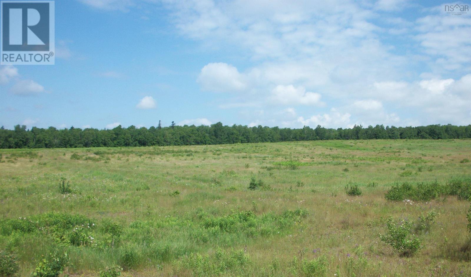 Station Road, Great Village, Nova Scotia  B0M 1L0 - Photo 8 - 202016431