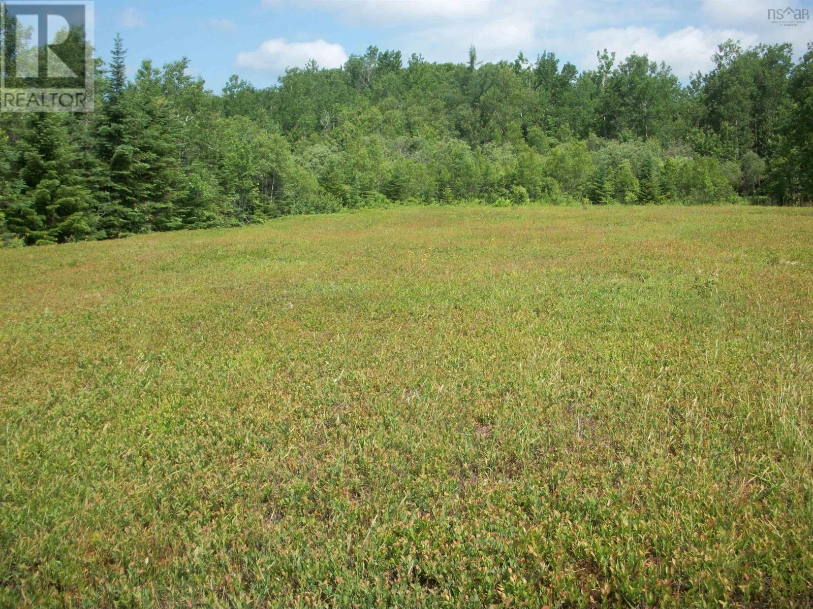 Station Road, Great Village, Nova Scotia  B0M 1L0 - Photo 9 - 202016431