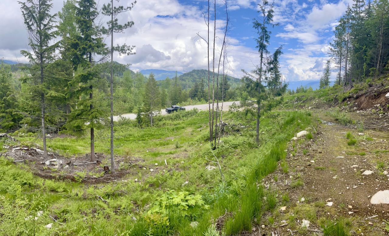 Lot A Richie Road, Rossland, British Columbia  V0G 1Y0 - Photo 16 - 2465729
