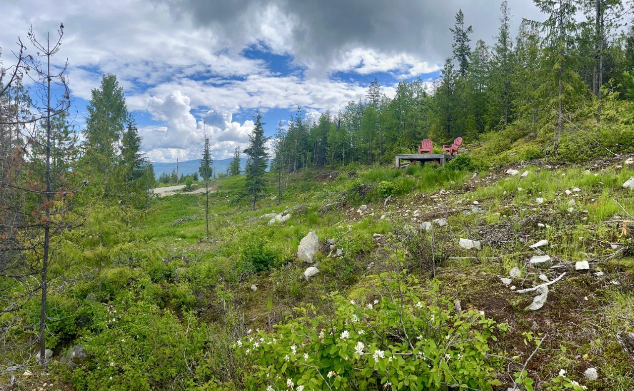 Lot A Richie Road, Rossland, British Columbia  V0G 1Y0 - Photo 26 - 2465729
