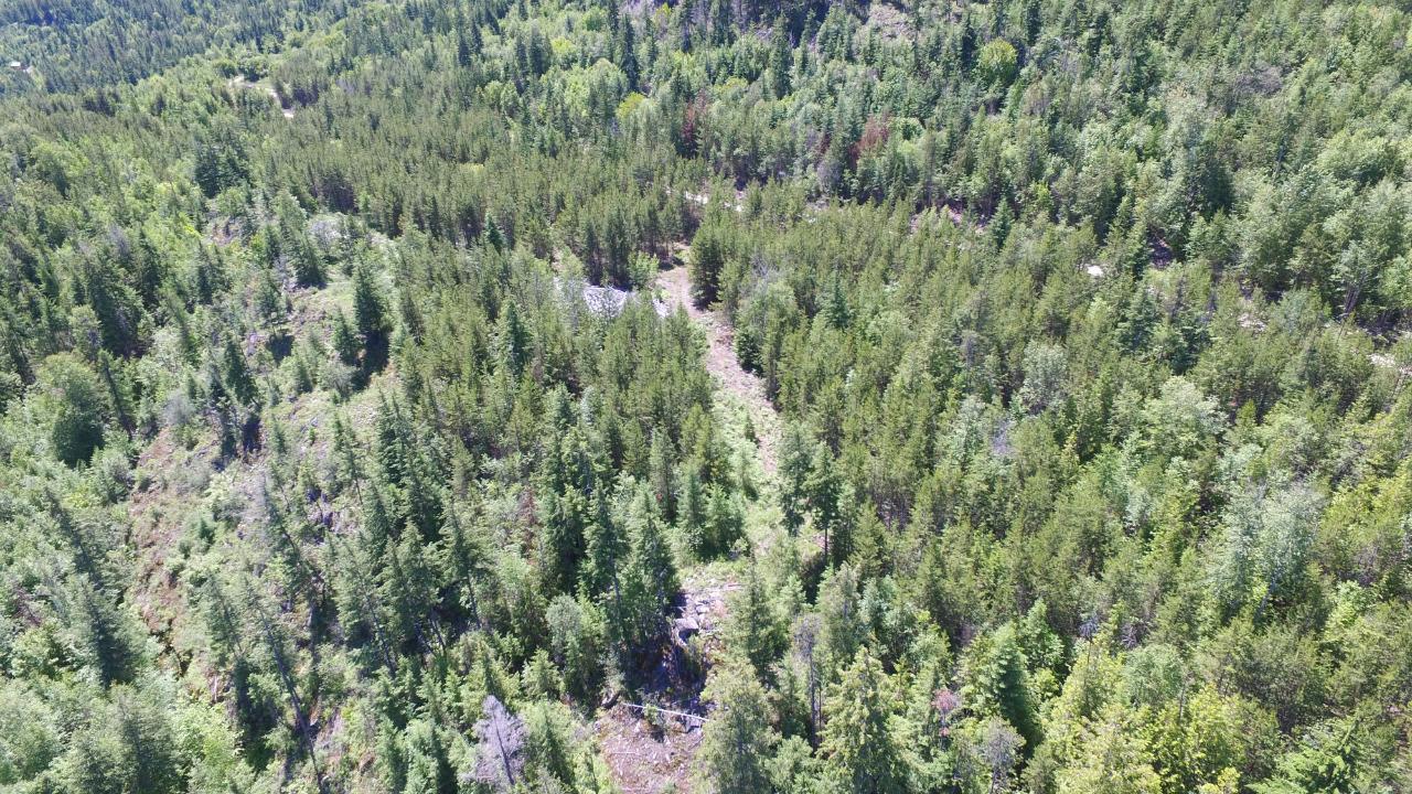 Lot 4 Lower Arrow Lake, Castlegar, British Columbia  V1N 3H3 - Photo 7 - 2465933