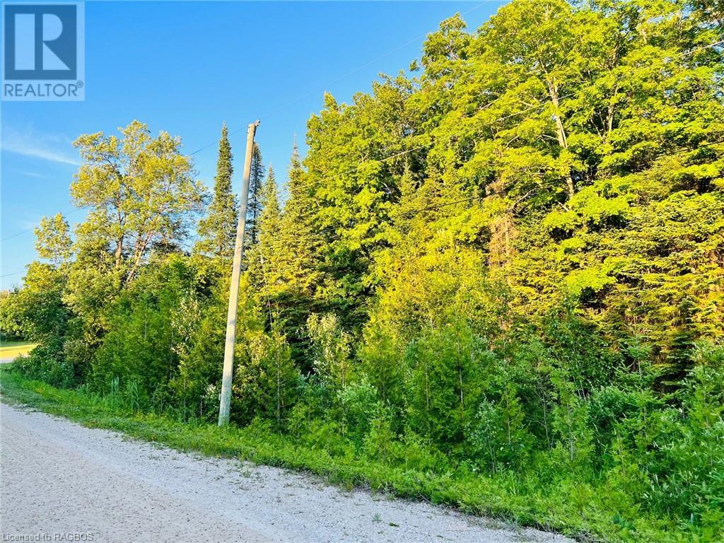 Lt 35 Highland Drive, West Grey, Ontario  N0C 1H0 - Photo 2 - 40279949