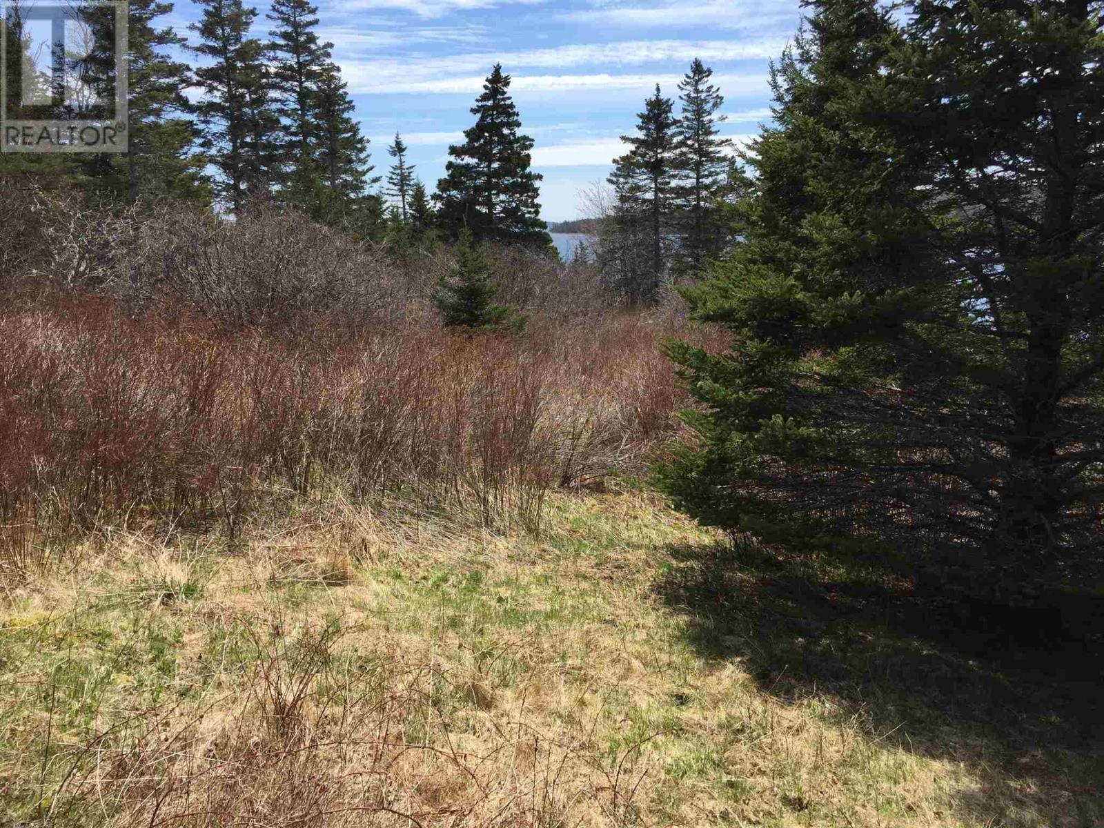 38 Sunset Drive, Watt Section, Nova Scotia  B0J 3B0 - Photo 10 - 202110652