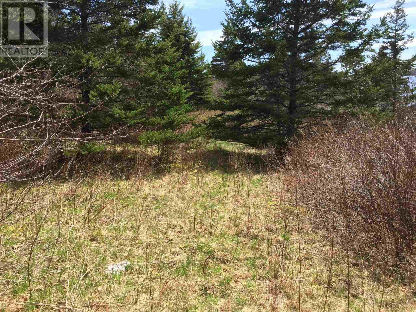 38 Sunset Drive, Watt Section, Nova Scotia  B0J 3B0 - Photo 8 - 202110652