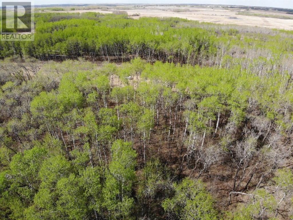 25 450031 73 Range, M.d. Of, Alberta T9W 1L5 - Photo 3 - A1150699