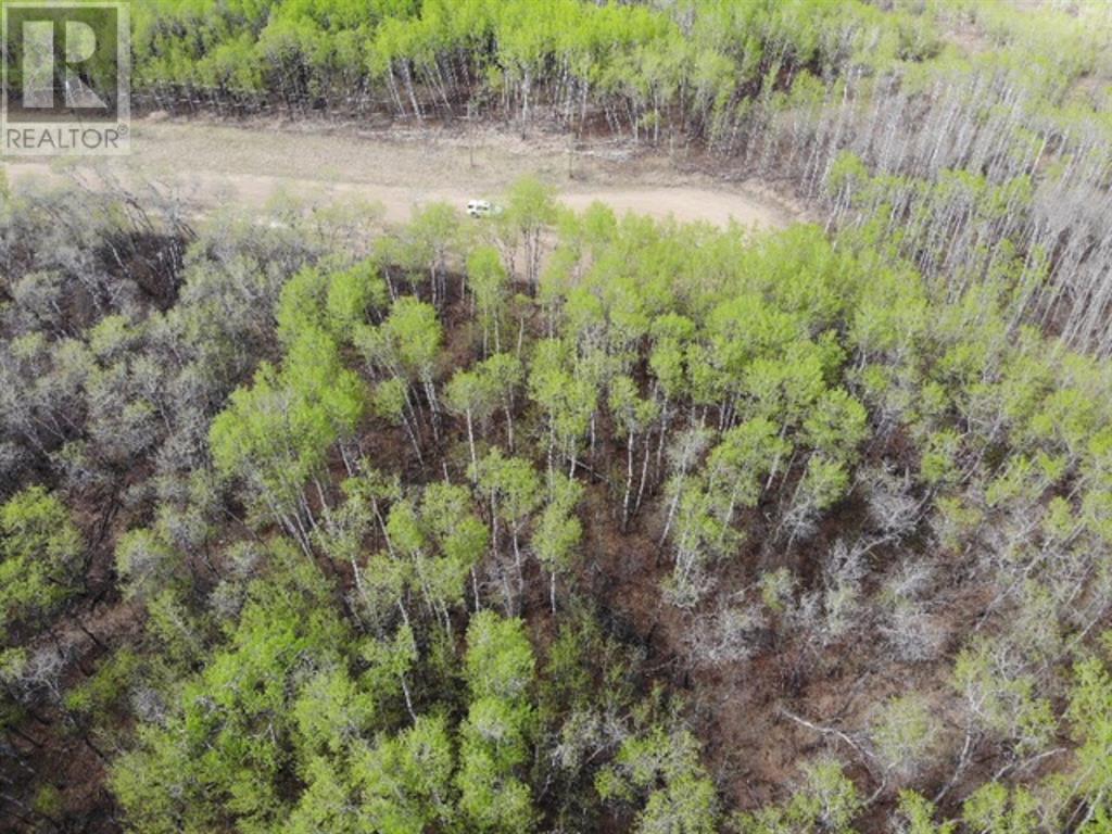 25 450031 73 Range, M.d. Of, Alberta T9W 1L5 - Photo 5 - A1150699