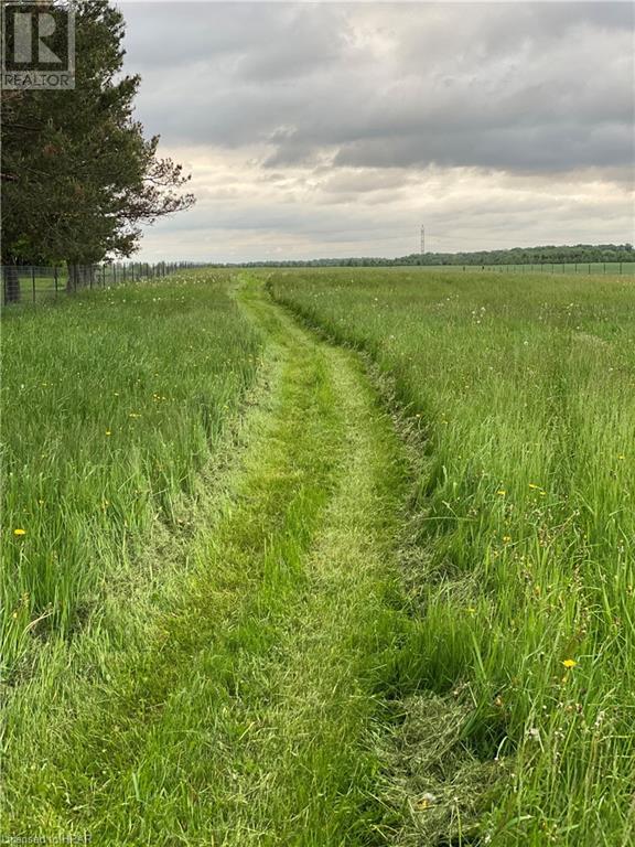 2274 34 Line, Shakespeare, Ontario  N0B 2P0 - Photo 3 - 40267254