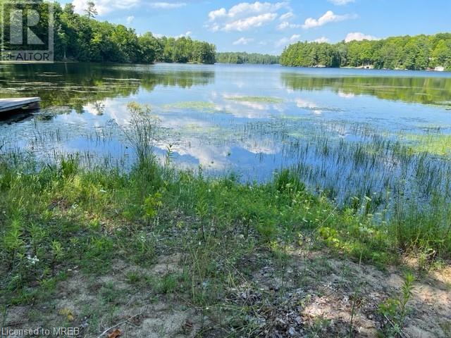 6454 Perth Road, South Frontenac, Ontario A1A 1A1 - Photo 2 - 40292072