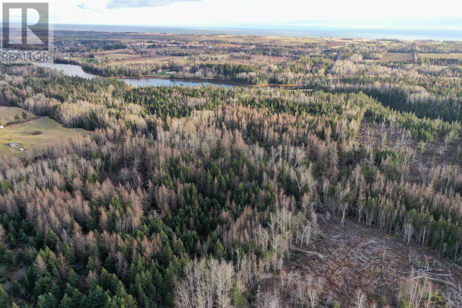 Cape Bear Road, Murray Harbour, Prince Edward Island  C0A 1V0 - Photo 8 - 202218197