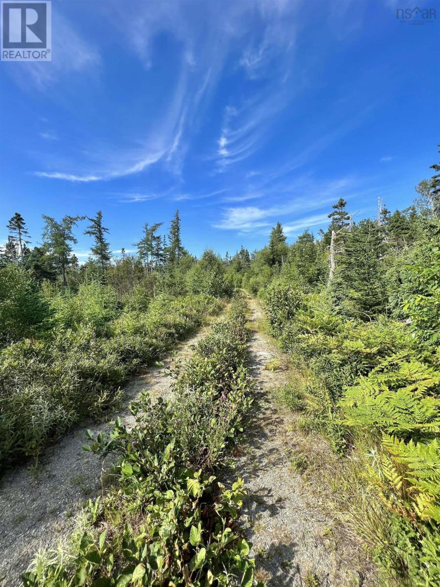 No 3 Highway, Walls Lake, Nova Scotia  B0T 1V0 - Photo 11 - 202217944