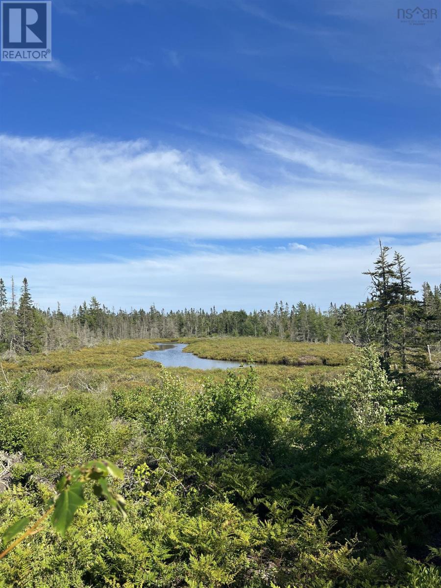 No 3 Highway, Walls Lake, Nova Scotia  B0T 1V0 - Photo 3 - 202217944