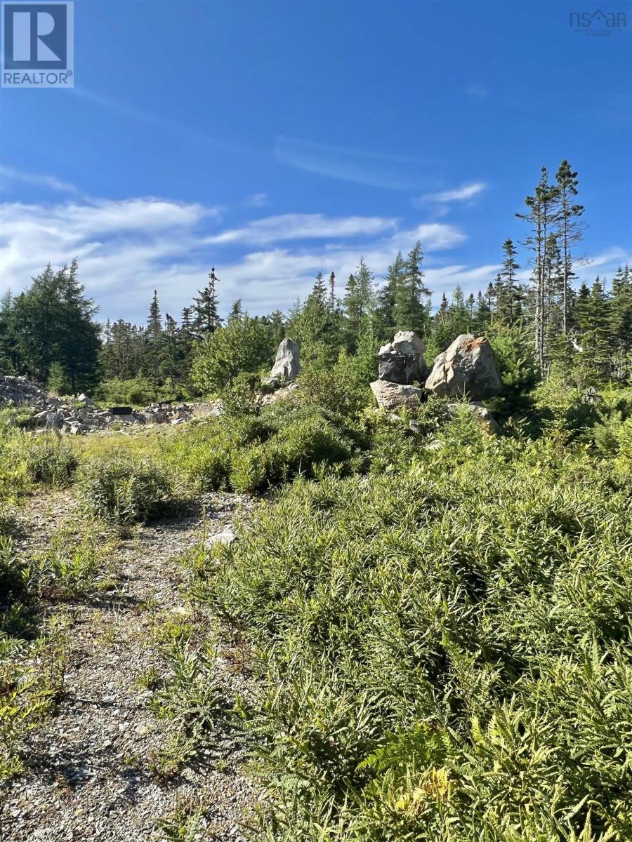 No 3 Highway, Walls Lake, Nova Scotia  B0T 1V0 - Photo 4 - 202217944