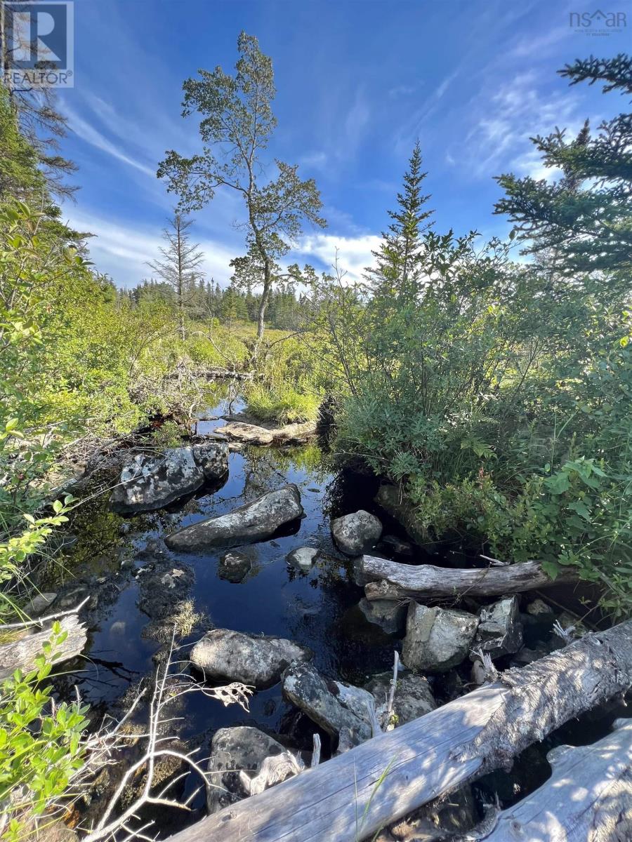 No 3 Highway, Walls Lake, Nova Scotia  B0T 1V0 - Photo 5 - 202217944