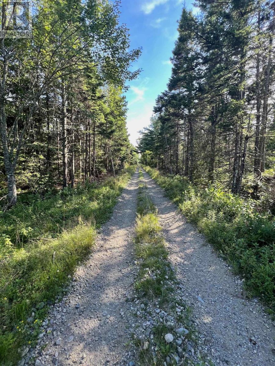 No 3 Highway, Walls Lake, Nova Scotia  B0T 1V0 - Photo 6 - 202217944