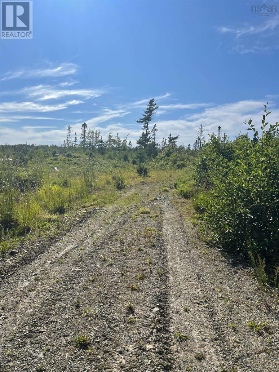 No 3 Highway, Walls Lake, Nova Scotia  B0T 1V0 - Photo 7 - 202217944