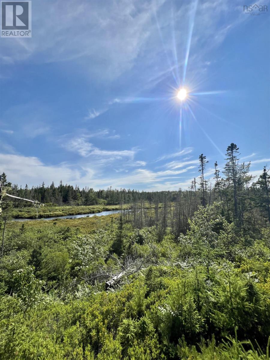 No 3 Highway, Walls Lake, Nova Scotia  B0T 1V0 - Photo 8 - 202217944