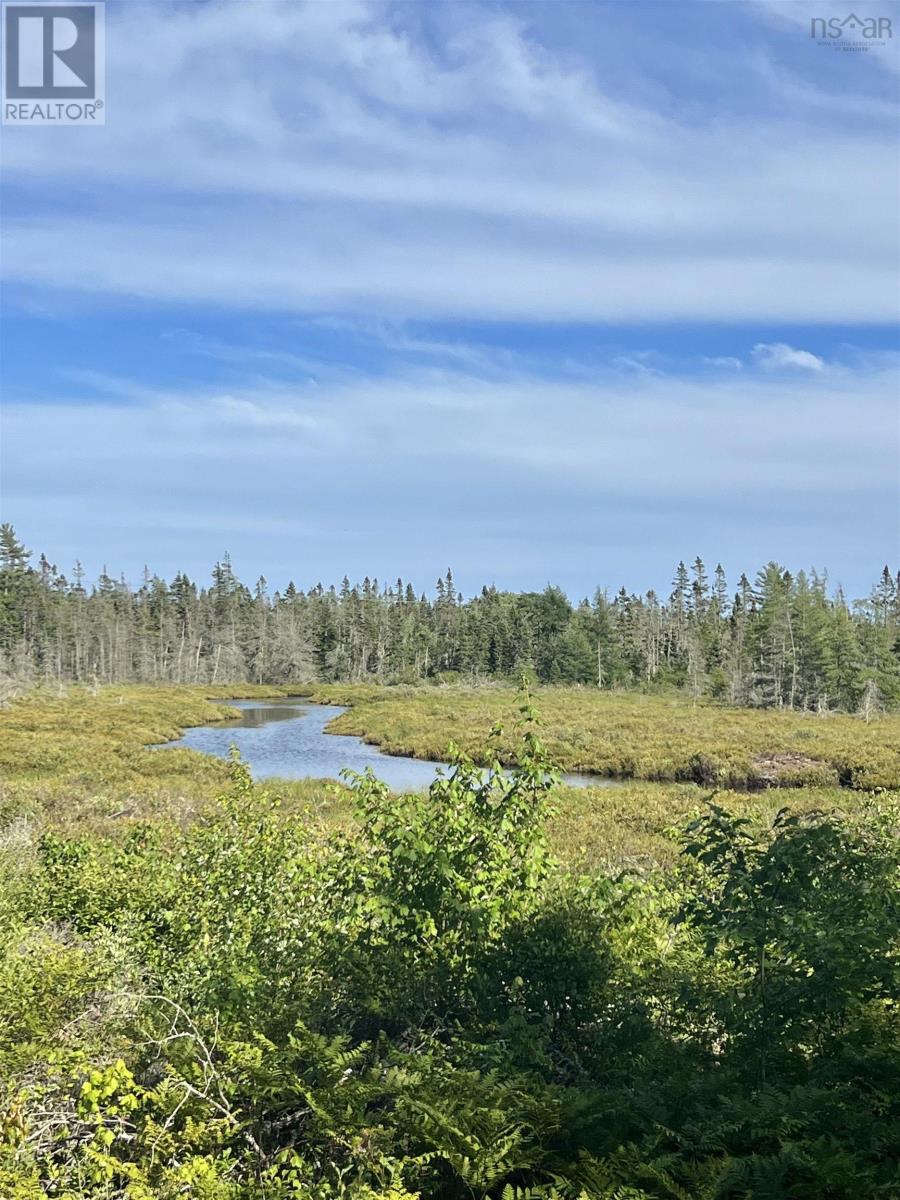 No 3 Highway, Walls Lake, Nova Scotia  B0T 1V0 - Photo 9 - 202217944