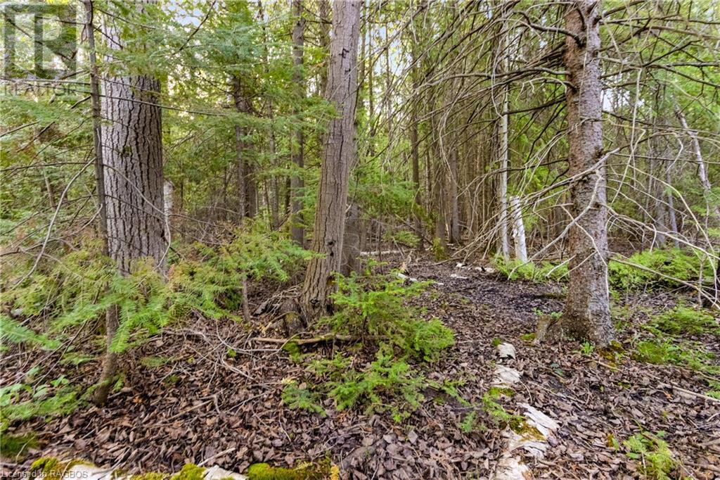 Pt Farm Lt 4 Chi Sin Tib Dek Road, Northern Bruce Peninsula, Ontario  N0H 2R0 - Photo 14 - 40268374