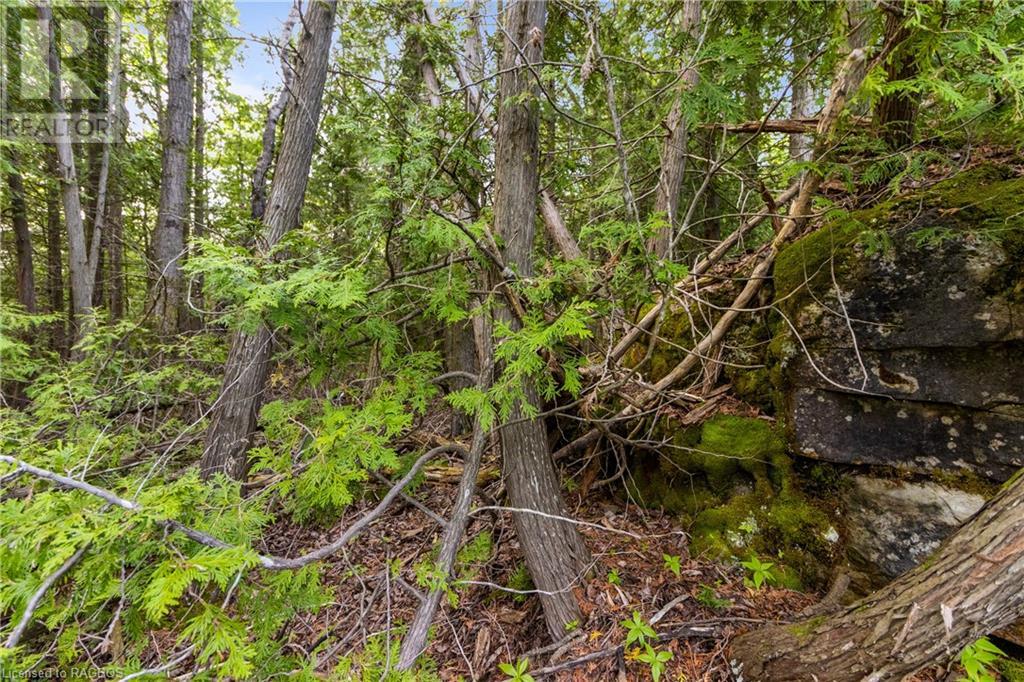 Pt Farm Lt 4 Chi Sin Tib Dek Road, Northern Bruce Peninsula, Ontario  N0H 2R0 - Photo 17 - 40268374