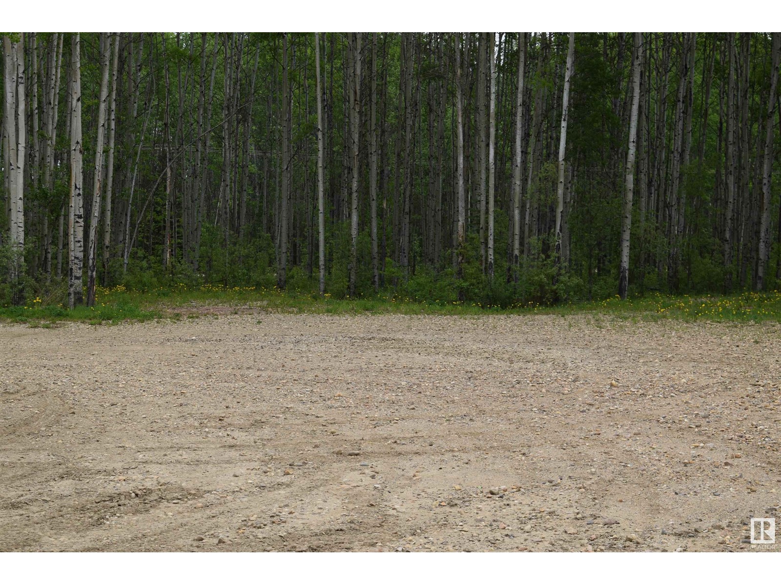 455 Industrial Dr N, Red Earth Creek, Alberta  T0G 1X0 - Photo 26 - E4309381