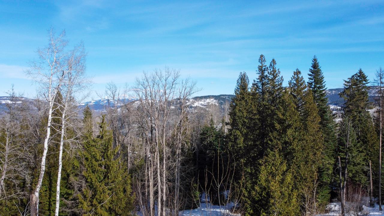 2812 Cedar Crescent, Rossland, British Columbia  V0G 1Y0 - Photo 20 - 2456707