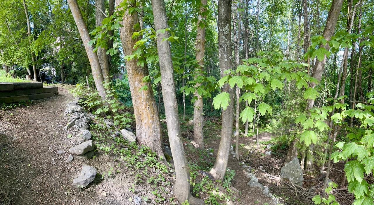 Lorem Ipsum Dolo, Rossland, British Columbia  V0G  - Photo 25 - DEMO24593134