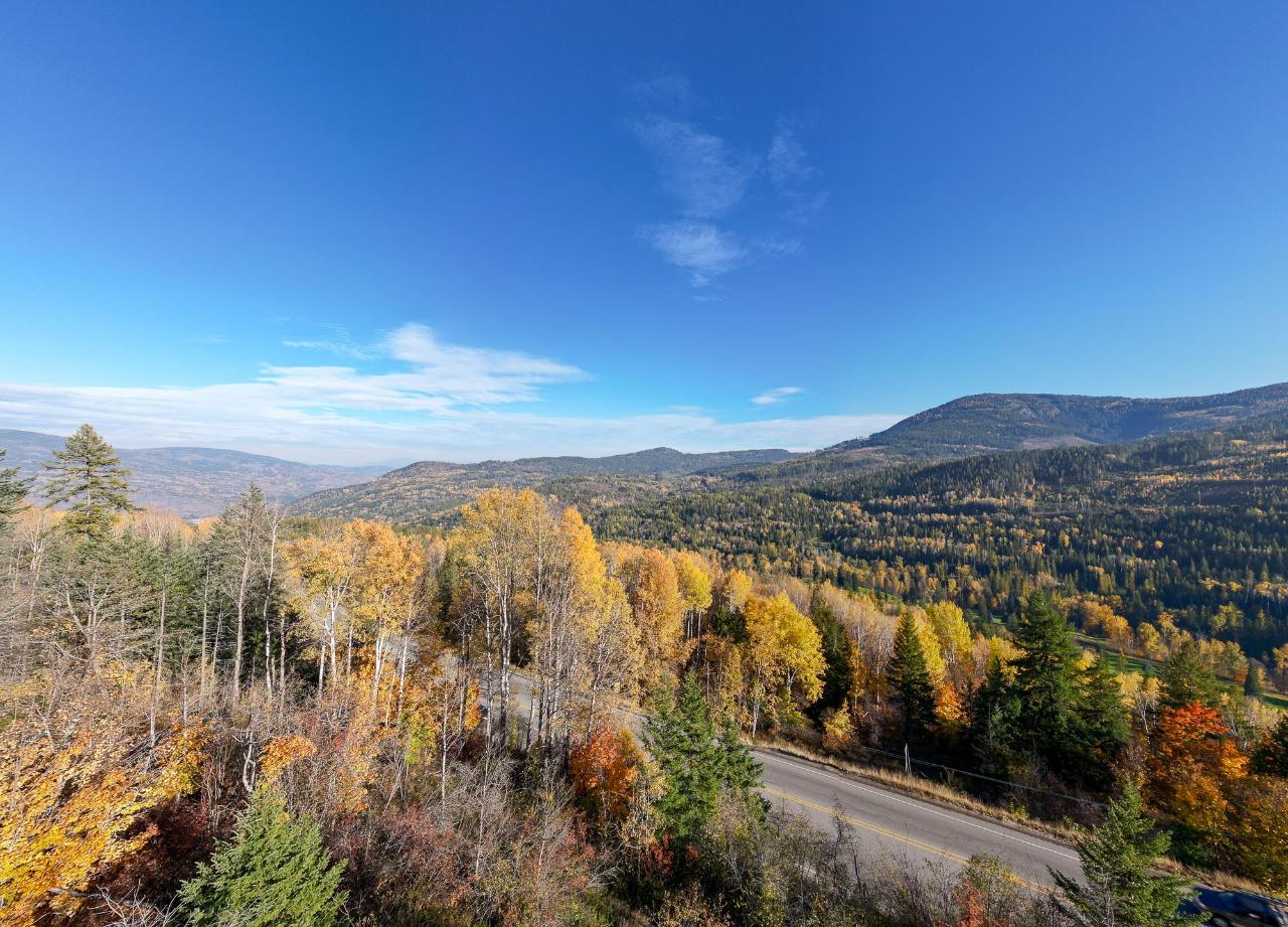 Lorem Ipsum Dolo, Rossland, British Columbia  V0G  - Photo 9 - DEMO24593134