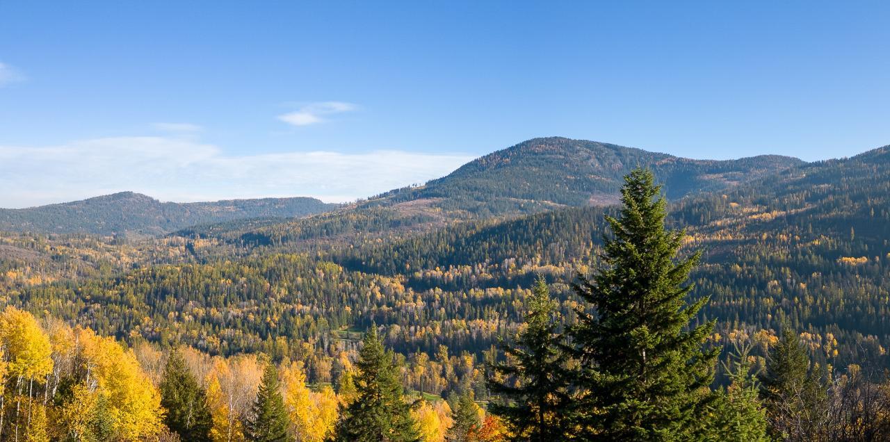 Lorem Ipsum Dolo, Rossland, British Columbia  V0G  - Photo 6 - DEMO24593134