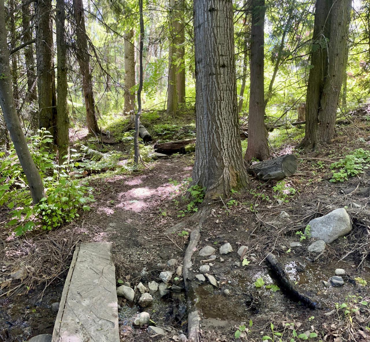 Lorem Ipsum Dolo, Rossland, British Columbia  V0G  - Photo 36 - DEMO24593134