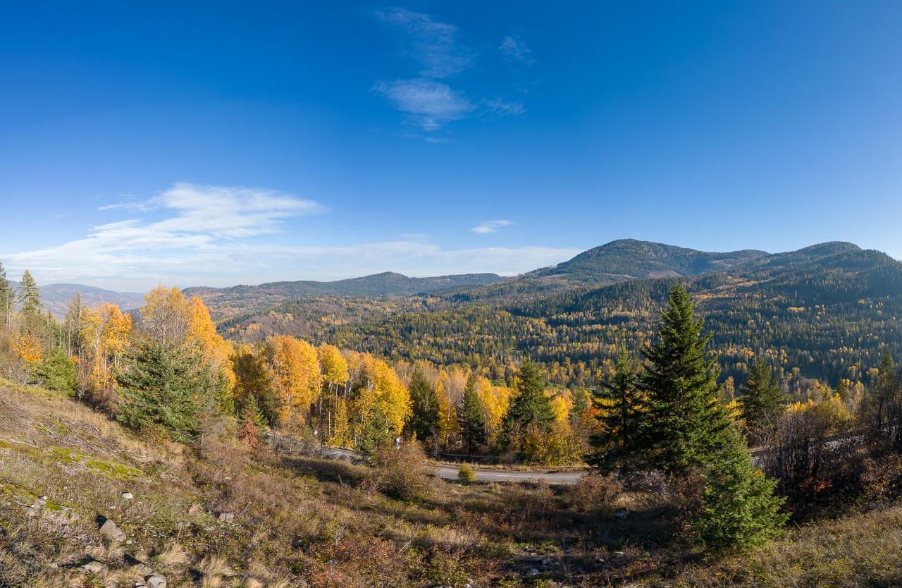 Lorem Ipsum Dolo, Rossland, British Columbia  V0G  - Photo 8 - DEMO24593134