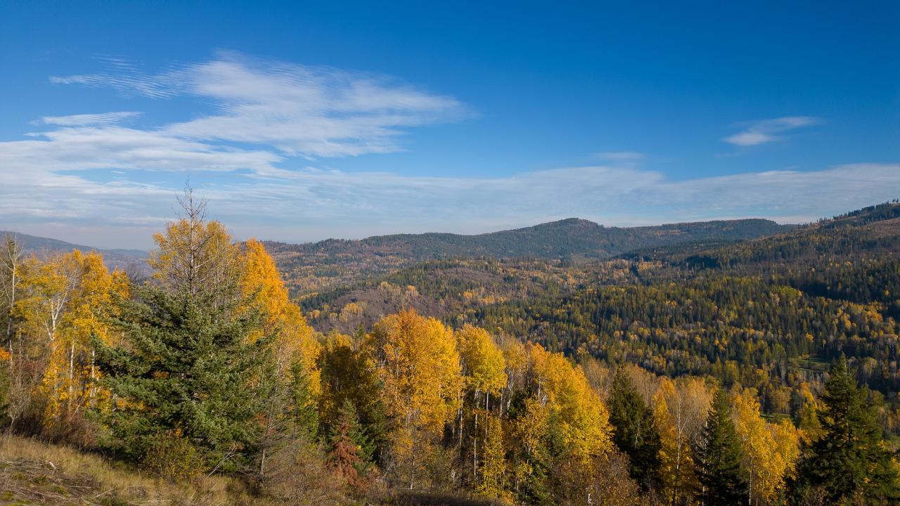 Lorem Ipsum Dolo, Rossland, British Columbia  V0G  - Photo 7 - DEMO24593134