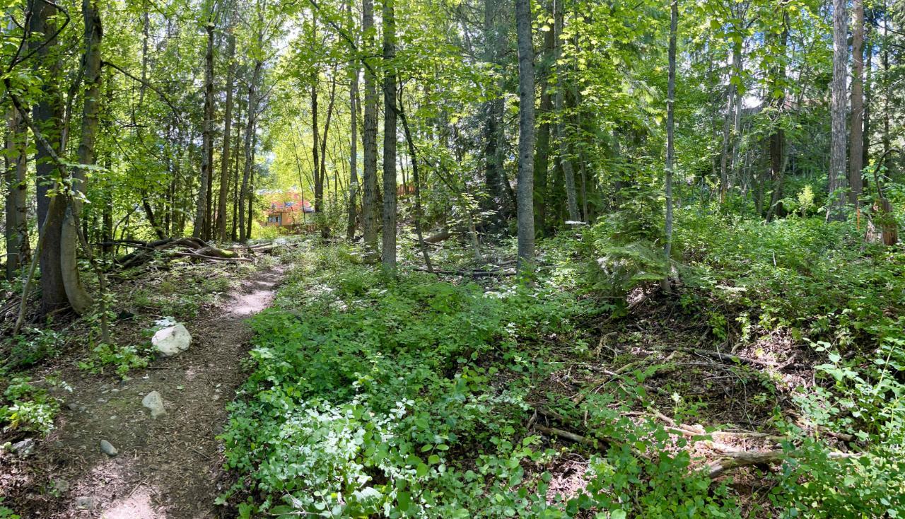 Lorem Ipsum Dolo, Rossland, British Columbia  V0G  - Photo 35 - DEMO24593134