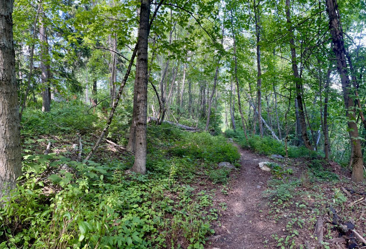 Lorem Ipsum Dolo, Rossland, British Columbia  V0G  - Photo 31 - DEMO24593134
