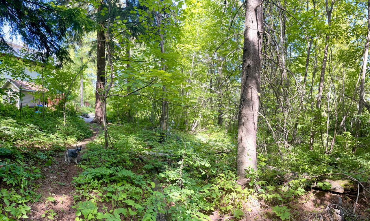 Lorem Ipsum Dolo, Rossland, British Columbia  V0G  - Photo 34 - DEMO24593134