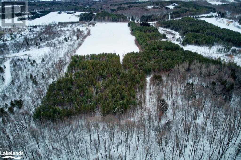 9304 91 County Road, Clearview, Ontario  L0M 1H0 - Photo 28 - 40310031