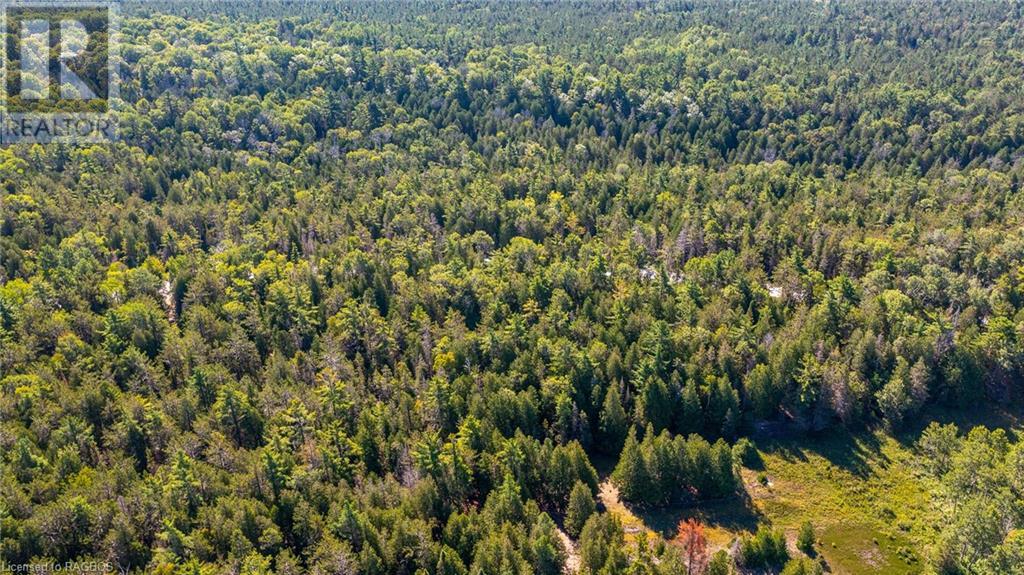 Pt Lt 9 Johnson's Harbour Road, Tobermory, Ontario  N0H 2R0 - Photo 17 - 40311764