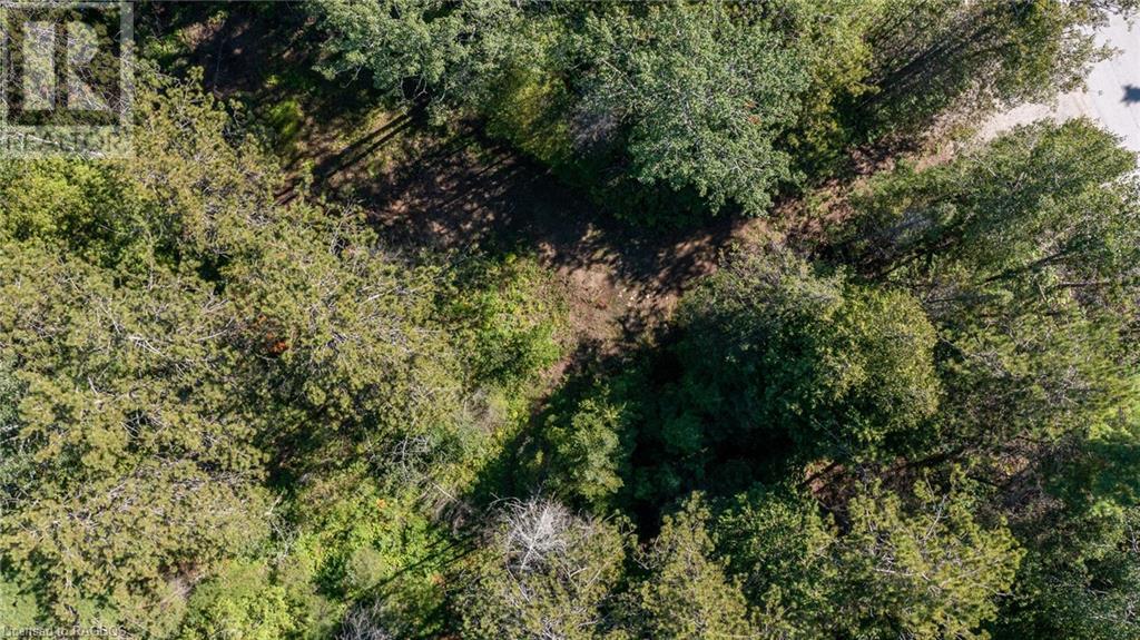 Pt Lt 9 Johnson's Harbour Road, Tobermory, Ontario  N0H 2R0 - Photo 27 - 40311764