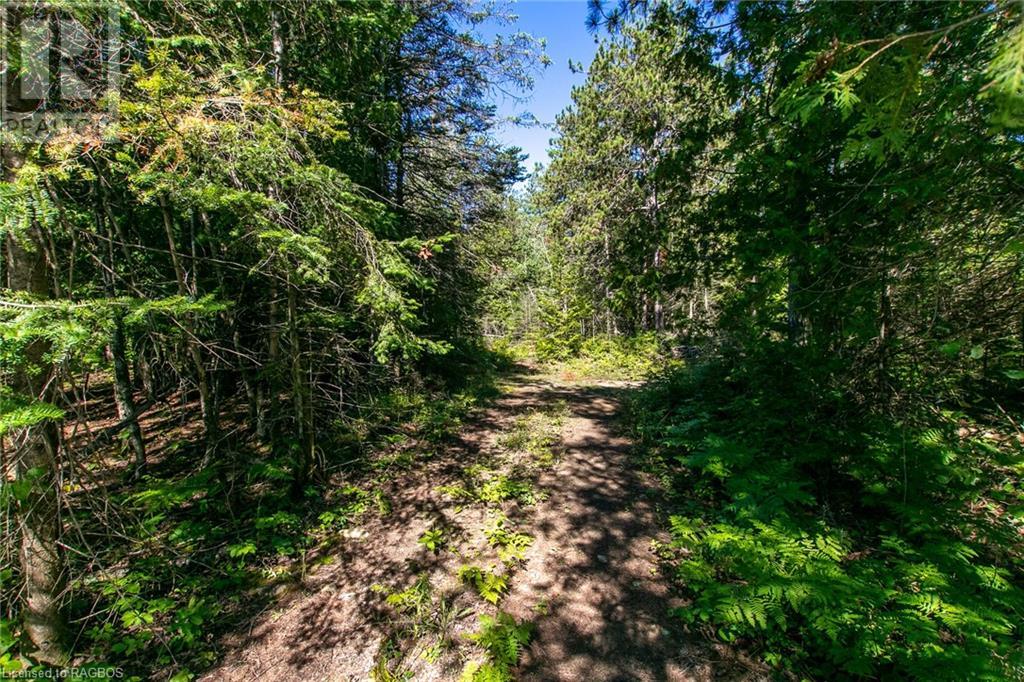 Pt Lt 9 Johnson's Harbour Road, Tobermory, Ontario  N0H 2R0 - Photo 33 - 40311764